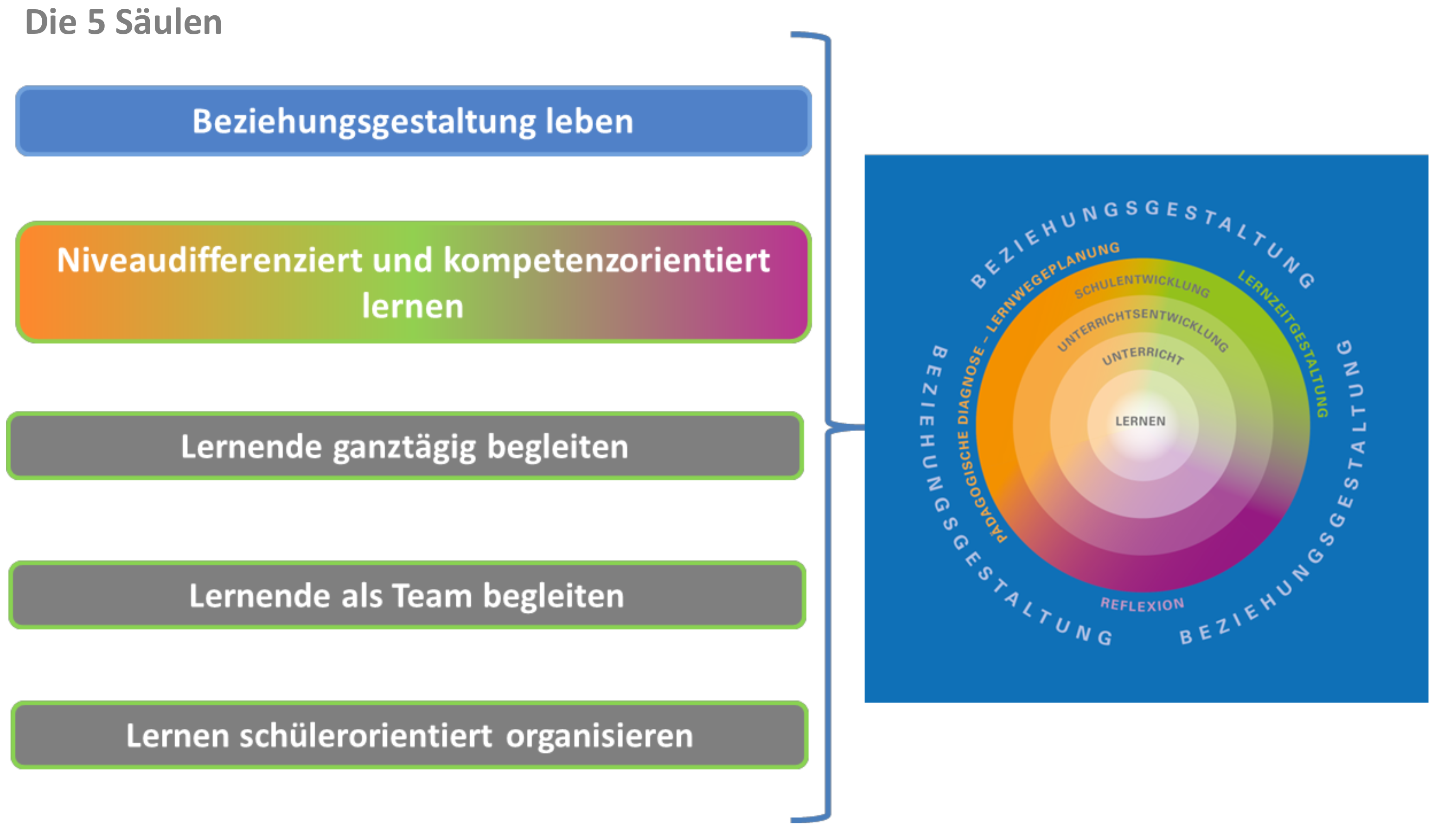 Die Grafik zeigt Beziehungsgestaltung, Niveaudifferenzierung, Ganztagsbegleitung, Teamarbeit und schülerorientierte Organisation.
